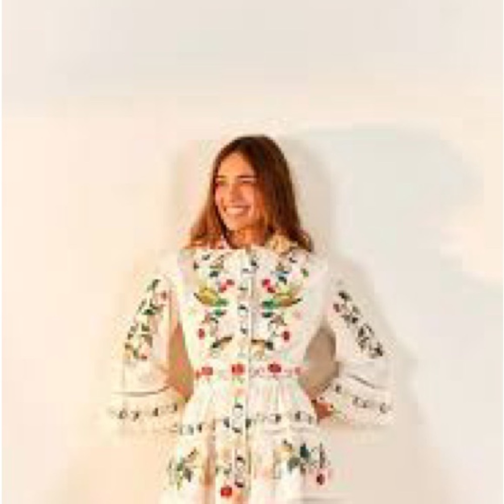 FARM Rio Pitanga Embroidered Mini Dress